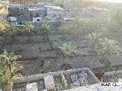 أرض للإيجار في ابو مغيرة - 750 م² / 25,555 IQD — صورة 3