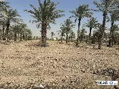 أرض للبيع في الدورة - 545 م² / 80,000,000 IQD — صورة 3