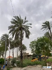 دار للبيع في اليوسفية - 155 م² / 160,000,000 IQD — صورة 3