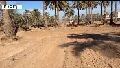 أرض للبيع في اليوسفية - 32500 م² / 6,500,000,000 IQD — صورة 4