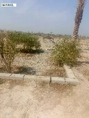أرض للبيع في الهارثة - 7500000 م² / 125,000,000 IQD — صورة 3