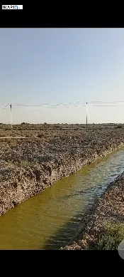أرض للبيع في الهارثة - 1000 م² / 8,000,000 IQD — صورة 3