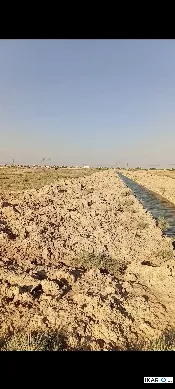 أرض للبيع في الهارثة - 1000 م² / 8,000,000 IQD — صورة 2