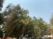 شقة للإيجار في اليرموك - 160 م² / 1,305,000 IQD — صورة 3