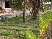 شقة للإيجار في اليرموك - 160 م² / 1,305,000 IQD — صورة 2