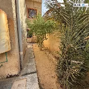دار للبيع في الاكوات - 300 م² / 500,000,000 IQD — صورة 3