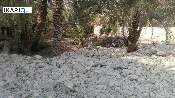 أرض للبيع في ابي الخصيب - 750 م² / 525,000,000 IQD — صورة 2