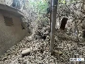 أرض للبيع في الصالحية - 250 م² / 833,750,000 IQD — صورة 3