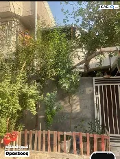 دار للبيع في ياسين خريبط - 130 م² / 230,000,000 IQD — صورة 2