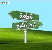 أرض للبيع في القادسية - 150 م² / 5,075,000 IQD — صورة 2