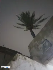 دار للبيع في مدينة الصدر - 144 م² / 165,000,000 IQD — صورة 3