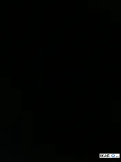 شقة للإيجار في البصرة - 40 م² / 250,000 IQD — صورة 2