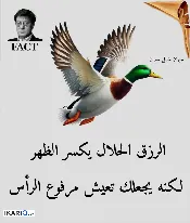 دار للإيجار في الاصمعي - 100 م² / 300,000 IQD — صورة 3