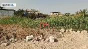 أرض للبيع في قضاء شط العرب - 250 م² / 80,000,000 IQD — صورة 2