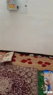 أرض للبيع في الراشدية - 4800 م² / 500,000,000 IQD — صورة 3