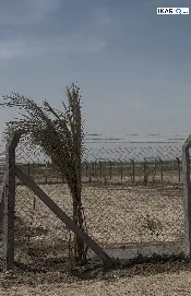 أرض للبيع في البياع - 1250 م² / 85,000,000 IQD — صورة 2