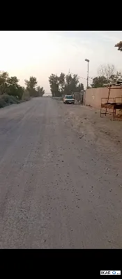 أرض للبيع في الجزيره - 225 م² / 60,000,000 IQD — صورة 3