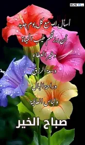 فيلا للبيع في الغزالية - 300 م² / 4,000,000 IQD — صورة 2