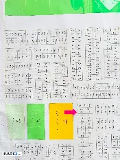 أرض للبيع في قضاء شط العرب - 125 م² / 20,000,000 IQD — صورة 4