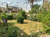 دار للبيع في الدورة - 300 م² / 390,000,000 IQD — صورة 2