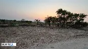 أرض للبيع في السيبه - 750 م² / 10,000,000 IQD — صورة 4