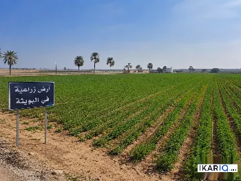 أرض للبيع في المحمودية - 12500 م² / 150,000,000 IQD