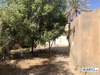 دار للبيع في خان بني سعد - 600 م² / 600,000,000 IQD