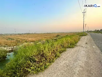 أرض للبيع في الحلة - 25000 م² / 500,000,000 IQD