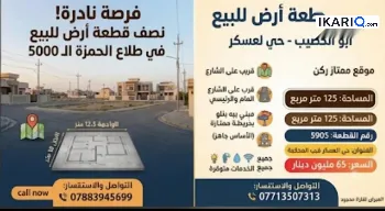 أرض للبيع في أبو الخصيب - 125 م² / 65,000,000 IQD