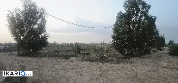 أرض للبيع في واسط - 10000 م² / 125,000,000 IQD