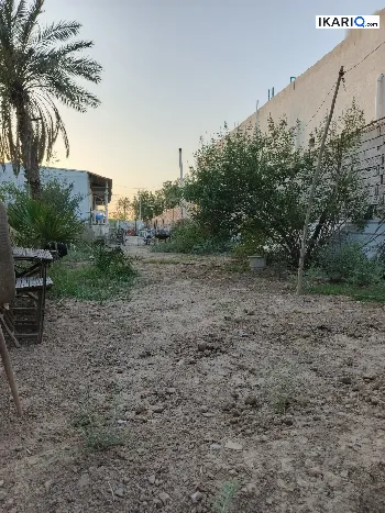 مزرعة للبيع في أبو الخصيب - 220 م² / 250,000,000 IQD