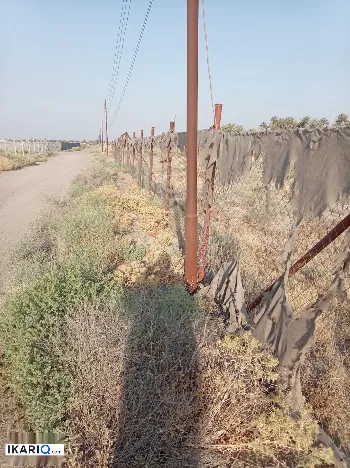 مزرعة للبيع في بغداد - 150 م² / 110,000,000 IQD