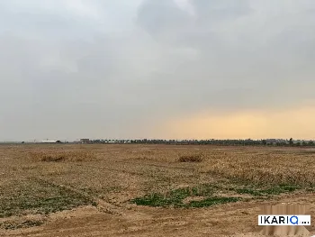 أرض للبيع في بوب الشام - 12500 م² / 55,000,000 IQD