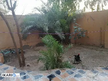 دار للبيع في التنومة - 250 م² / 160,000,000 IQD