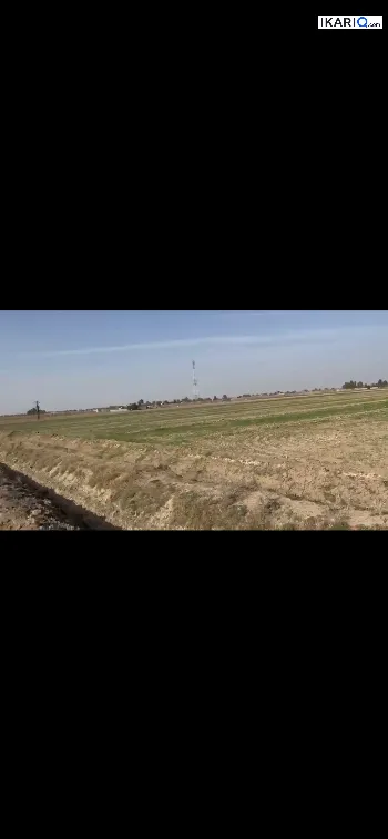 أرض للبيع في ابوغريب - 20000 م² / 45,000,000 IQD