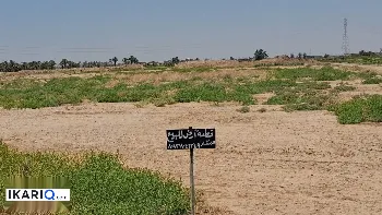 أرض للبيع في الرمادي - 253 م² / 25,000,000 IQD