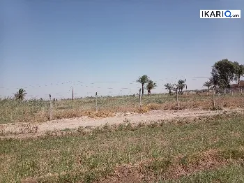 أرض للبيع في الرصافة - 2500 م² / 53,000,000 IQD