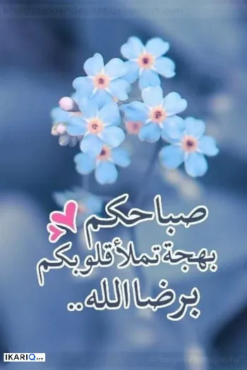 محل للبيع في الشيخ عمر - 3066 م² / 7,665,000,000 IQD