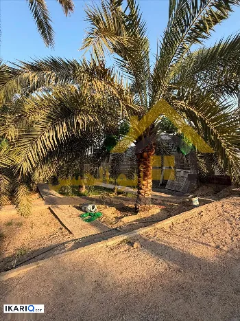 أرض للبيع في ابي الخصيب - 2450 م² / 1,500,000 IQD