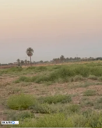 أرض للبيع في بغداد - 22000000 م² / 195,000,000 IQD