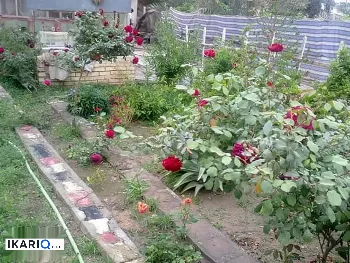 أرض للبيع في أبي غرق - 7500 م² / 85,000,000 IQD