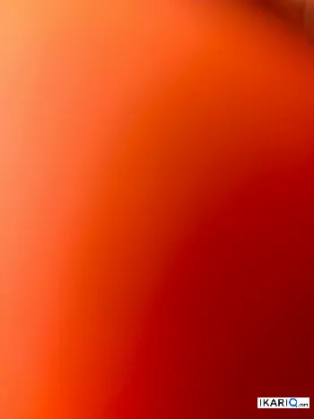دار للبيع في دور نواب الضباط - 180 م² / 265,000,000 IQD