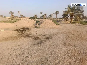 أرض للبيع في ابي الخصيب - 20500 م² / 1,600,000 IQD