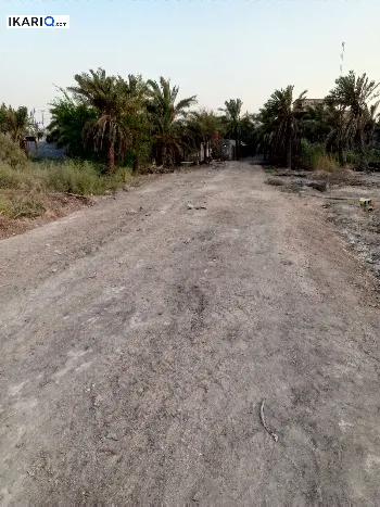 أرض للبيع في ابي الخصيب - 2500 م² / 15,000,000 IQD