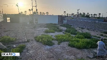 أرض للبيع في ابي الخصيب - 1400 م² / 85,000,000 IQD