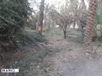 أرض للبيع في ابي الخصيب - 5700 م² / 76,700,777 IQD