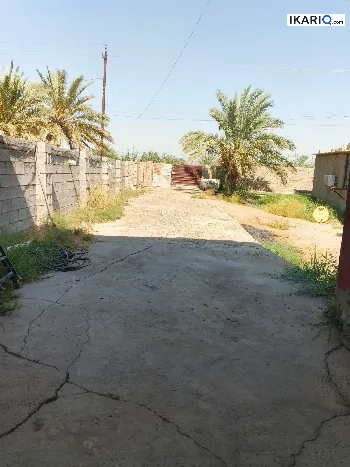 دار للبيع في الشعب - 800 م² / 170,000,000 IQD
