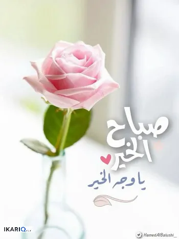 شقة للإيجار في المشراق الجديد - 145 م² / 1,000,000 IQD