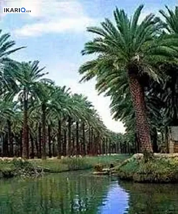 دار للإيجار في الزبير - 125 م² / 400,000 IQD
