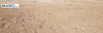 أرض للبيع في قضاء شط العرب - 500 م² / 90,000,000 IQD